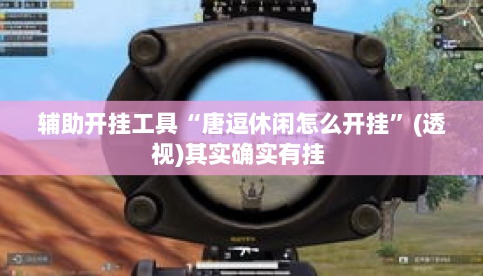 辅助开挂工具“唐逗休闲怎么开挂”(透视)其实确实有挂 