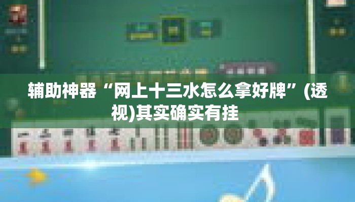 辅助神器“网上十三水怎么拿好牌”(透视)其实确实有挂 