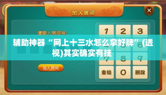辅助神器“网上十三水怎么拿好牌”(透视)其实确实有挂 
