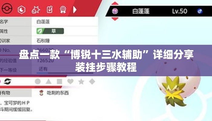 盘点一款“博锐十三水辅助	”详细分享装挂步骤教程