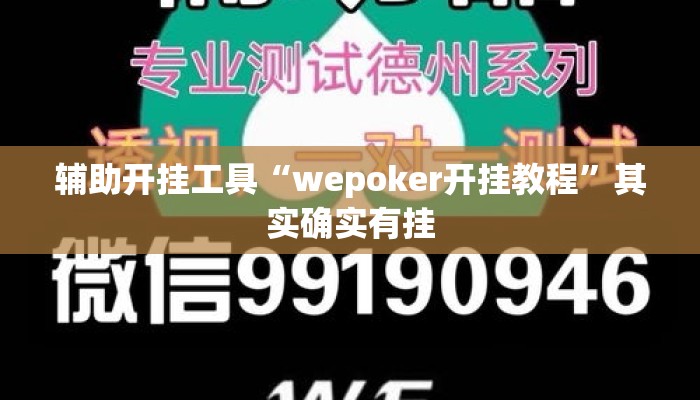 辅助开挂工具“wepoker开挂教程”其实确实有挂