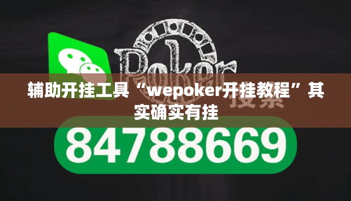 辅助开挂工具“wepoker开挂教程”其实确实有挂