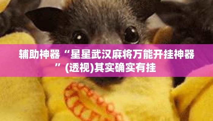 辅助神器“星星武汉麻将万能开挂神器”(透视)其实确实有挂 