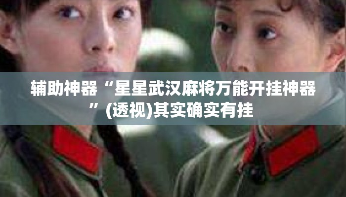 辅助神器“星星武汉麻将万能开挂神器”(透视)其实确实有挂 