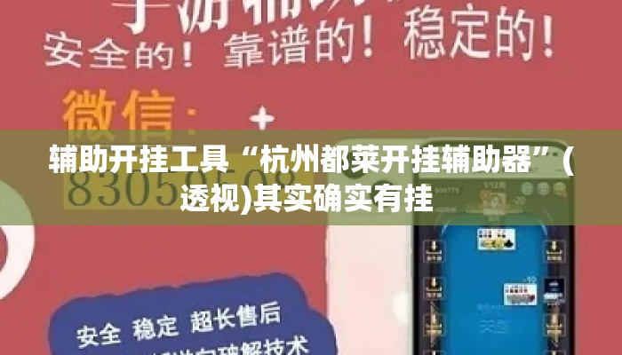 辅助开挂工具“杭州都莱开挂辅助器	”(透视)其实确实有挂 