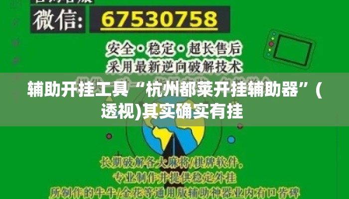 辅助开挂工具“杭州都莱开挂辅助器”(透视)其实确实有挂 