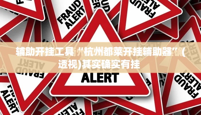 辅助开挂工具“杭州都莱开挂辅助器”(透视)其实确实有挂 