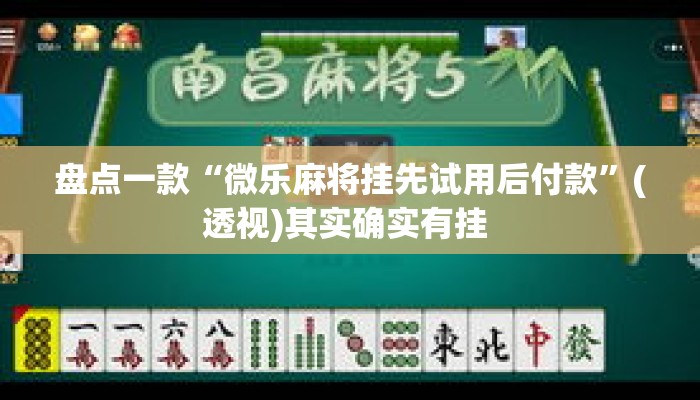 盘点一款“微乐麻将挂先试用后付款”(透视)其实确实有挂 