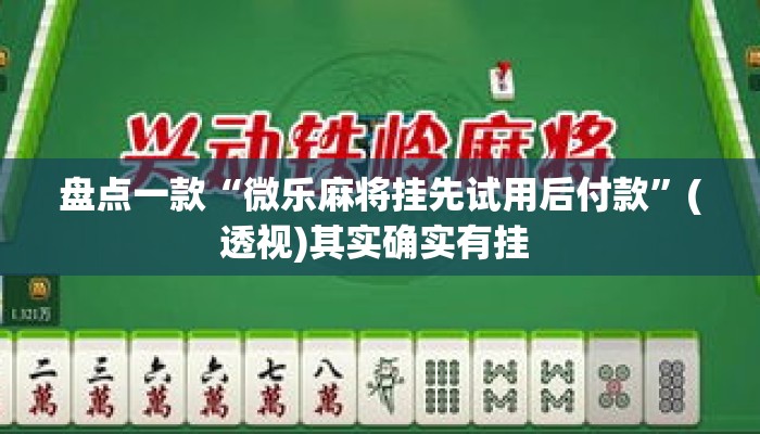 盘点一款“微乐麻将挂先试用后付款”(透视)其实确实有挂 