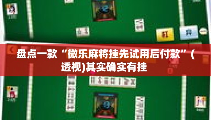 盘点一款“微乐麻将挂先试用后付款”(透视)其实确实有挂 