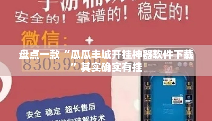 盘点一款“瓜瓜丰城开挂神器软件下载”其实确实有挂
