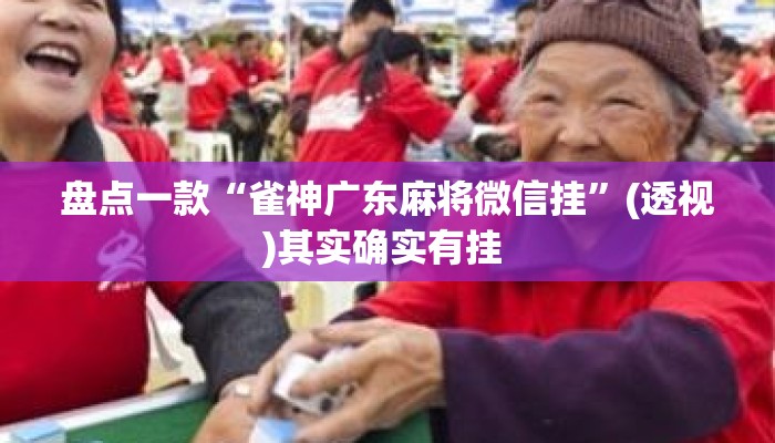 盘点一款“雀神广东麻将微信挂	”(透视)其实确实有挂 