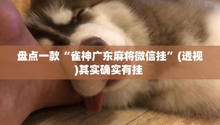 盘点一款“雀神广东麻将微信挂”(透视)其实确实有挂 