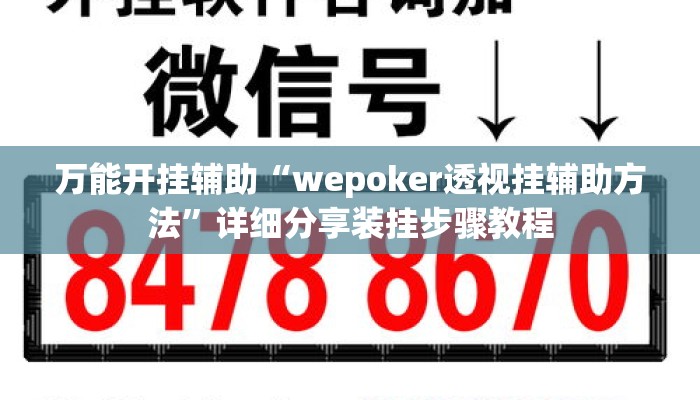 万能开挂辅助“wepoker透视挂辅助方法	”详细分享装挂步骤教程