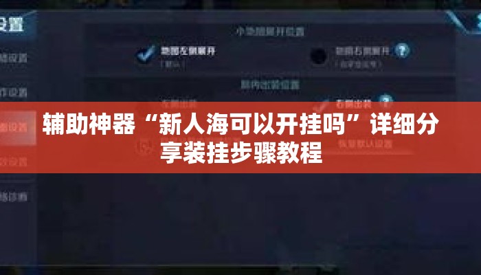 辅助神器“新人海可以开挂吗”详细分享装挂步骤教程