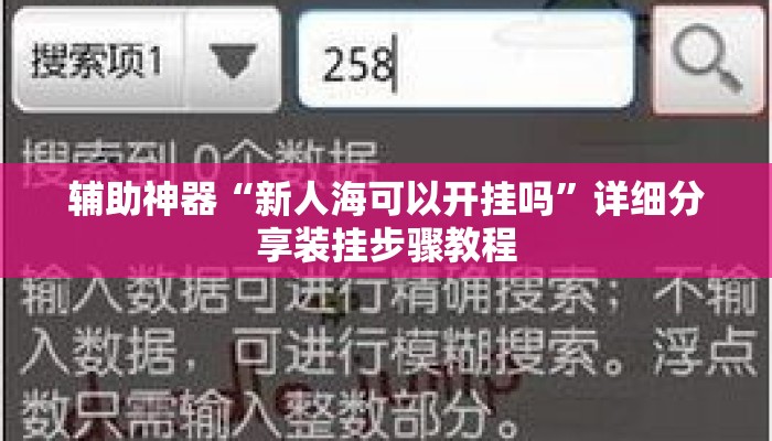 辅助神器“新人海可以开挂吗	”详细分享装挂步骤教程
