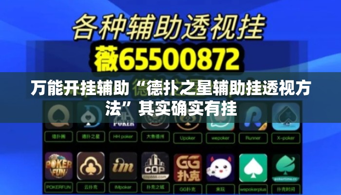 万能开挂辅助“德扑之星辅助挂透视方法	”其实确实有挂