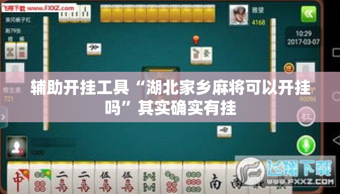 辅助开挂工具“湖北家乡麻将可以开挂吗	”其实确实有挂