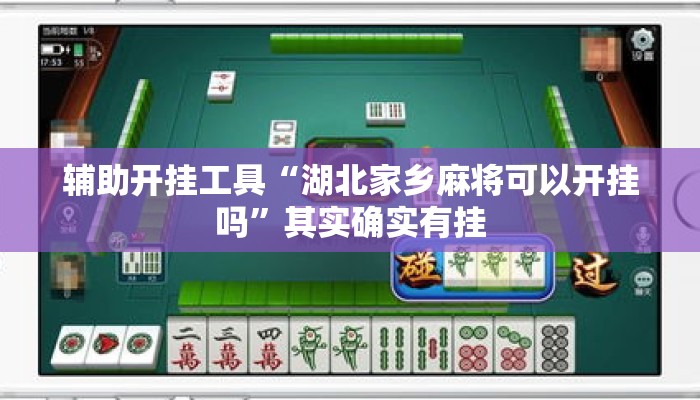 辅助开挂工具“湖北家乡麻将可以开挂吗”其实确实有挂