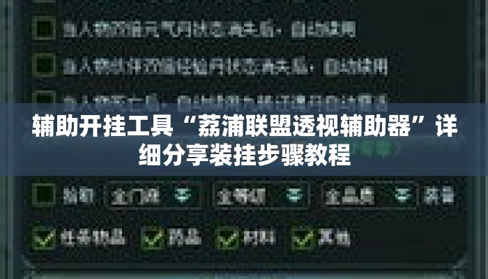 辅助开挂工具“荔浦联盟透视辅助器”详细分享装挂步骤教程