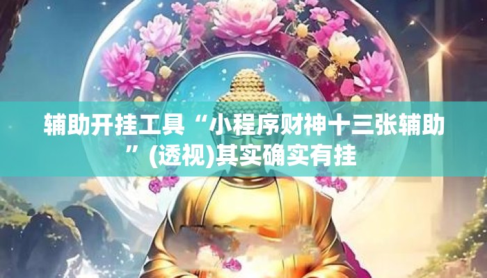辅助开挂工具“小程序财神十三张辅助	”(透视)其实确实有挂 