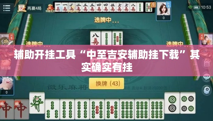 辅助开挂工具“中至吉安辅助挂下载”其实确实有挂