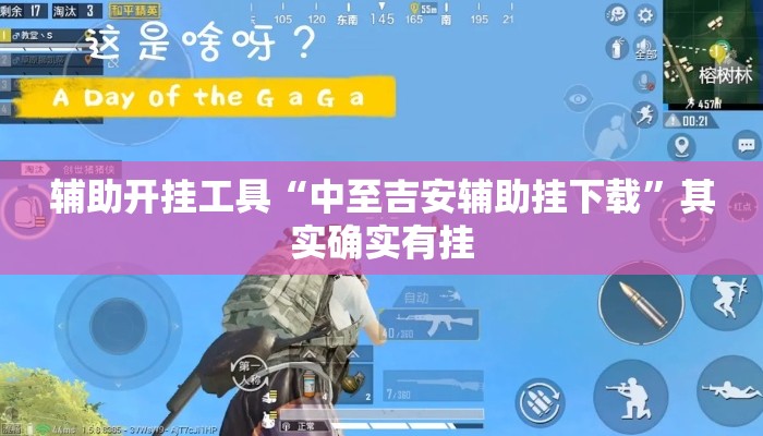 辅助开挂工具“中至吉安辅助挂下载”其实确实有挂