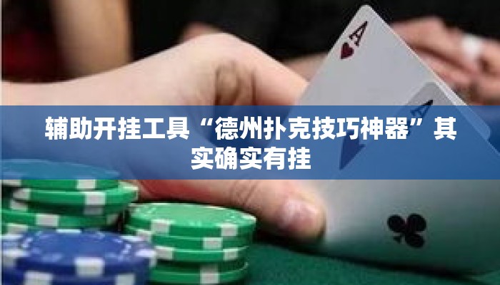 辅助开挂工具“德州扑克技巧神器	”其实确实有挂