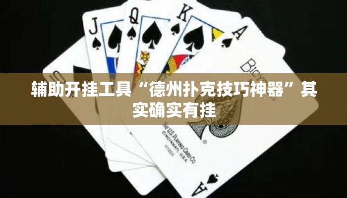辅助开挂工具“德州扑克技巧神器”其实确实有挂