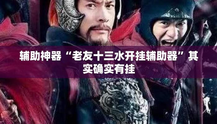 辅助神器“老友十三水开挂辅助器	”其实确实有挂