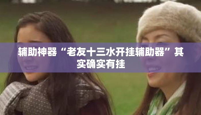 辅助神器“老友十三水开挂辅助器	”其实确实有挂