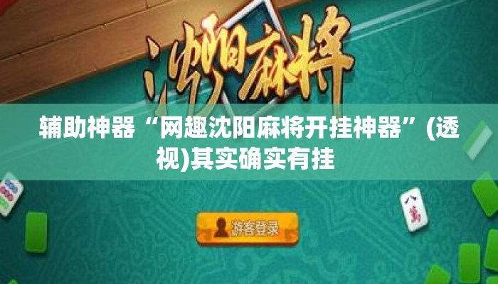 辅助神器“网趣沈阳麻将开挂神器	”(透视)其实确实有挂 