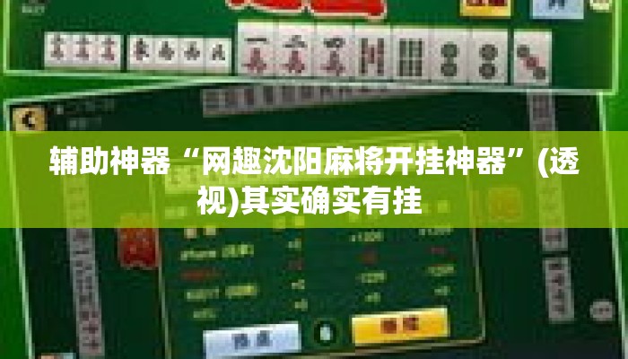 辅助神器“网趣沈阳麻将开挂神器”(透视)其实确实有挂 