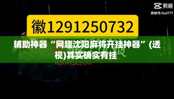 辅助神器“网趣沈阳麻将开挂神器”(透视)其实确实有挂 