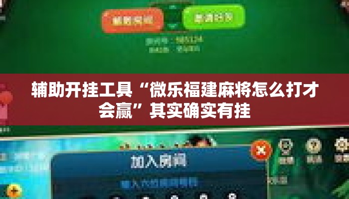 辅助开挂工具“微乐福建麻将怎么打才会赢	”其实确实有挂