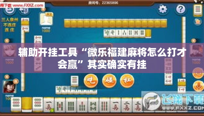 辅助开挂工具“微乐福建麻将怎么打才会赢	”其实确实有挂