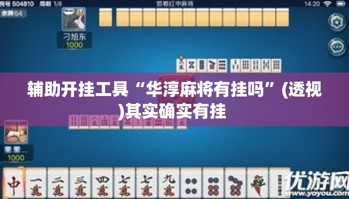 辅助开挂工具“华淳麻将有挂吗”(透视)其实确实有挂 