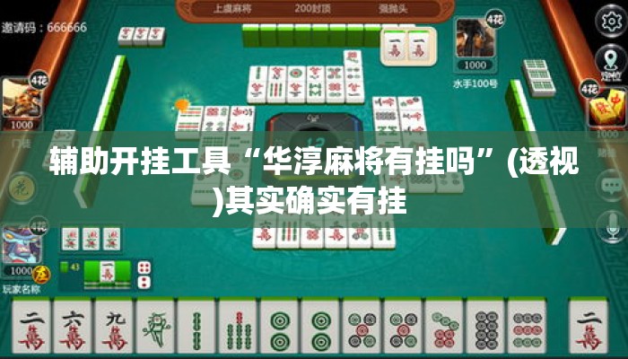 辅助开挂工具“华淳麻将有挂吗”(透视)其实确实有挂 