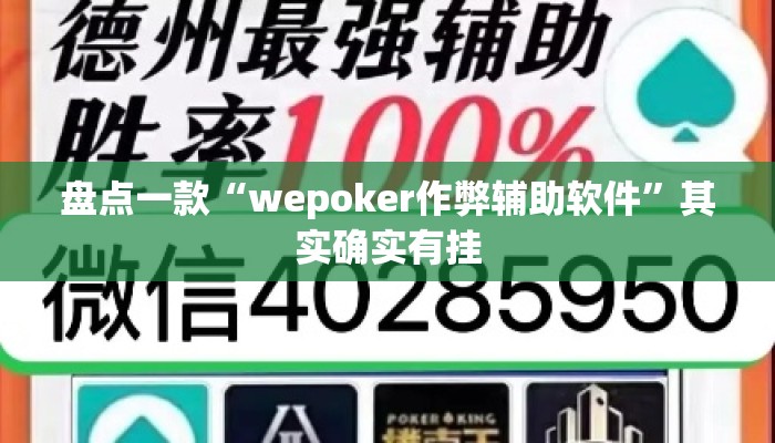 盘点一款“wepoker作弊辅助软件”其实确实有挂