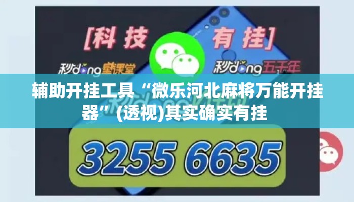 辅助开挂工具“微乐河北麻将万能开挂器	”(透视)其实确实有挂 