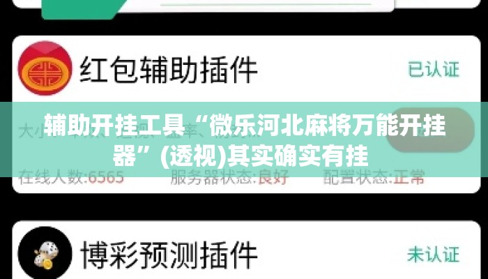 辅助开挂工具“微乐河北麻将万能开挂器”(透视)其实确实有挂 