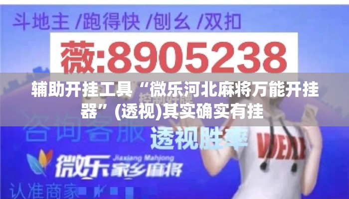 辅助开挂工具“微乐河北麻将万能开挂器”(透视)其实确实有挂 