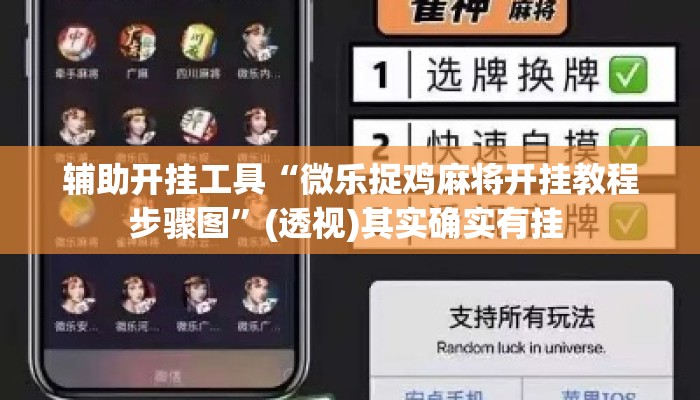 辅助开挂工具“微乐捉鸡麻将开挂教程步骤图”(透视)其实确实有挂 
