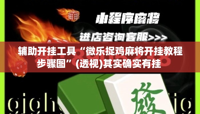 辅助开挂工具“微乐捉鸡麻将开挂教程步骤图”(透视)其实确实有挂 