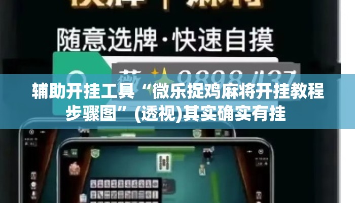 辅助开挂工具“微乐捉鸡麻将开挂教程步骤图”(透视)其实确实有挂 