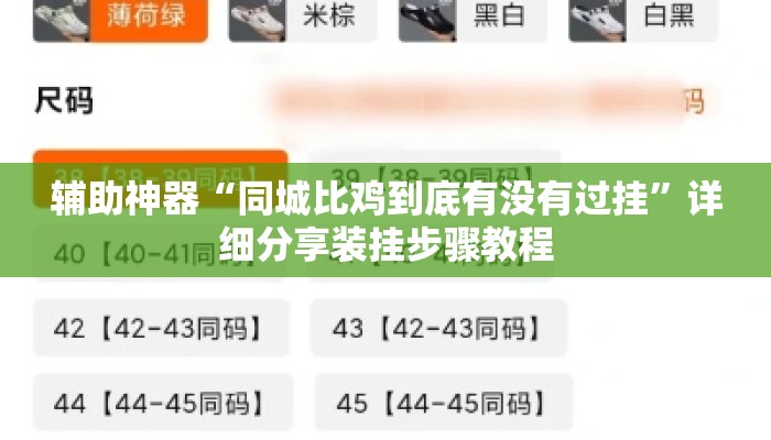 辅助神器“同城比鸡到底有没有过挂”详细分享装挂步骤教程