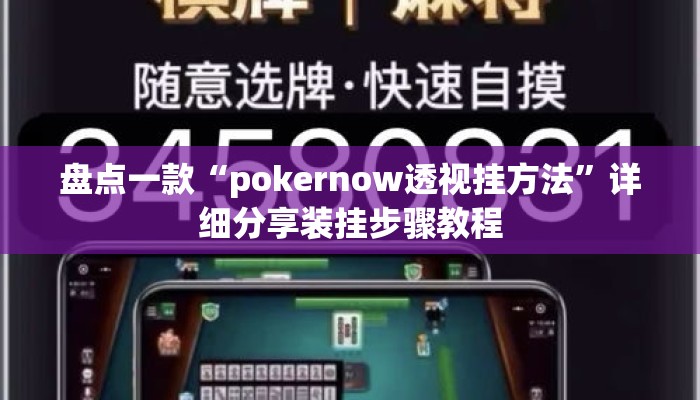 盘点一款“pokernow透视挂方法”详细分享装挂步骤教程