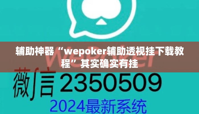 辅助神器“wepoker辅助透视挂下载教程”其实确实有挂