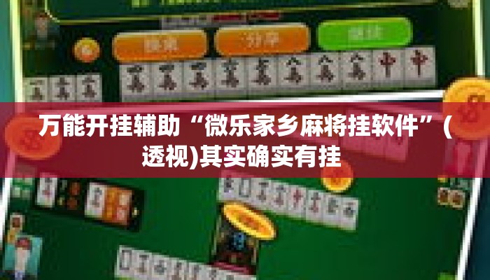 万能开挂辅助“微乐家乡麻将挂软件	”(透视)其实确实有挂 