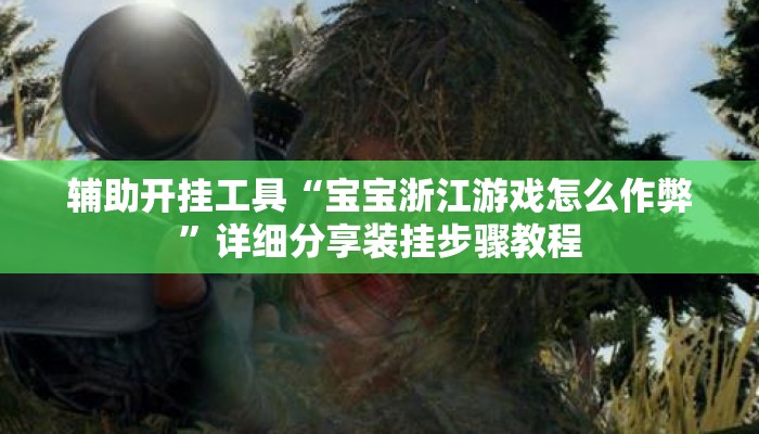 辅助开挂工具“宝宝浙江游戏怎么作弊”详细分享装挂步骤教程